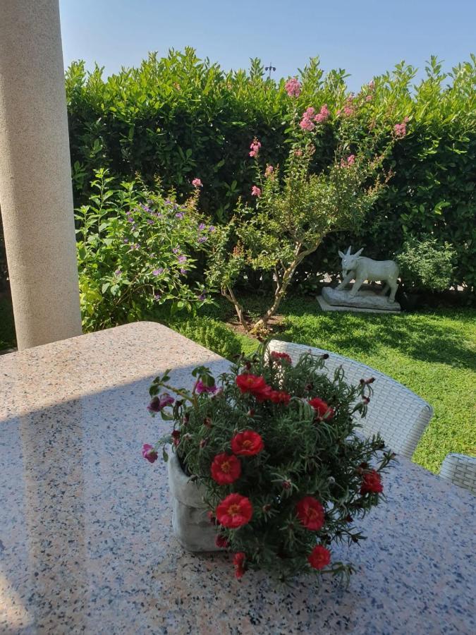 Villa Maric Baška Voda Eksteriør billede